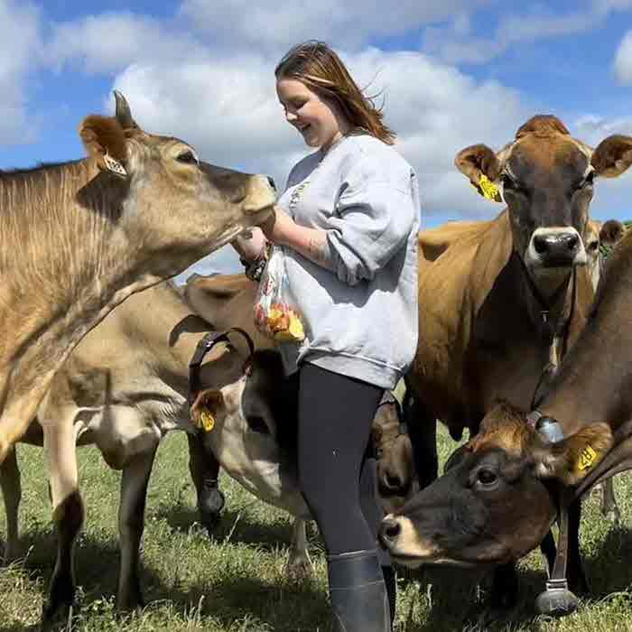 Cow_Cuddling De Vor Dairy Farm & Creamery - Jersey Calf Cuddling